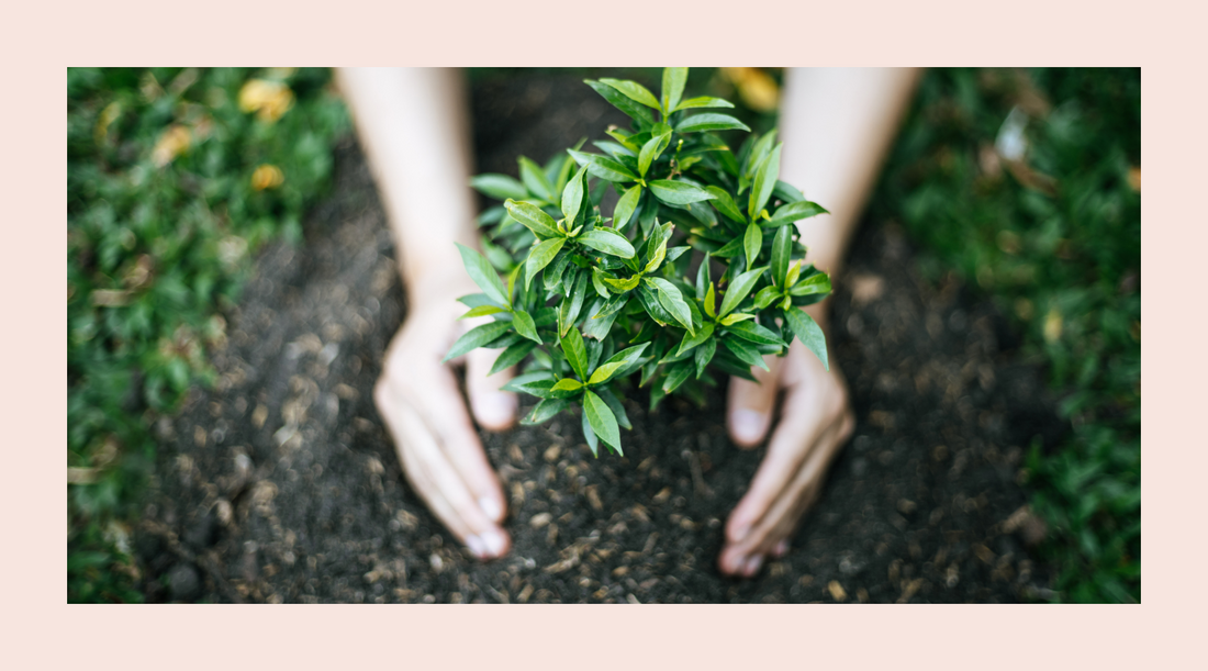 Nachhaltige Elternschaft: Eine Reise für eine gesündere Welt