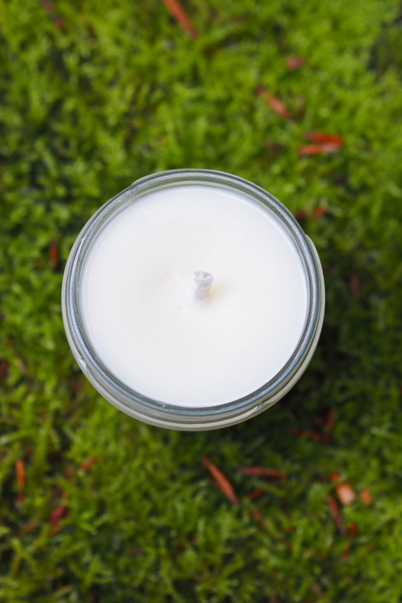 Die Aroma Kerze fürs zweite Trimester: Zurück ins Leben! (Bergamotte, Grapefruit und Zitrone) - Wolf Mothers